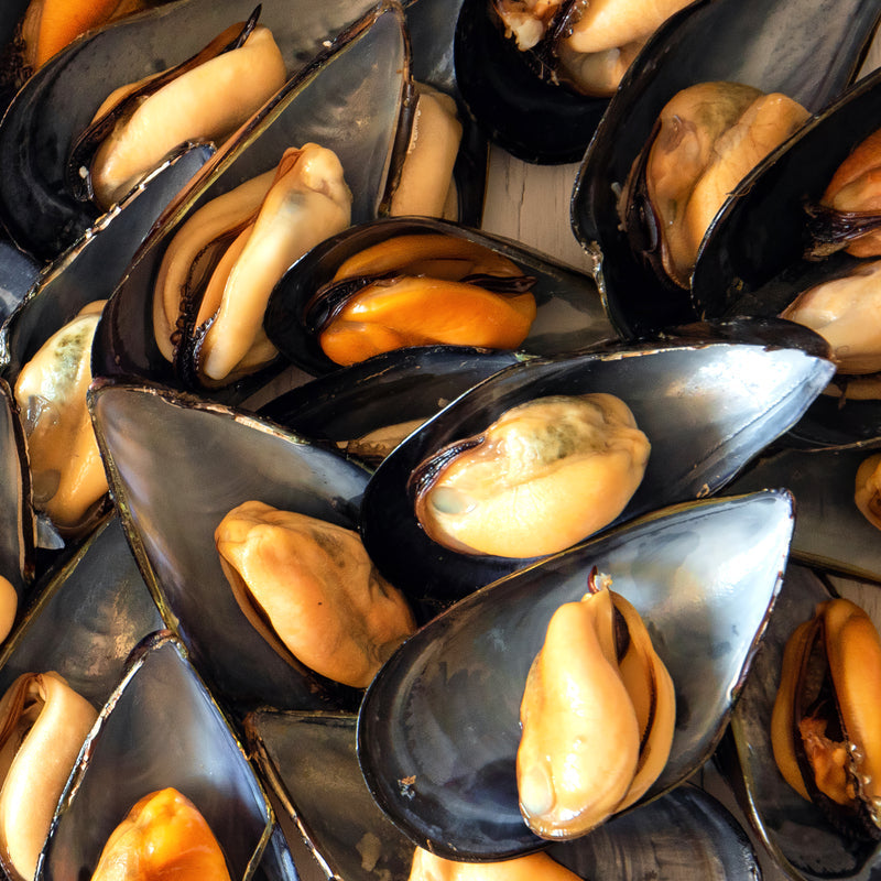 Fresh mussels and oysters side by side on ice, showcasing their shells and briny ocean flavor