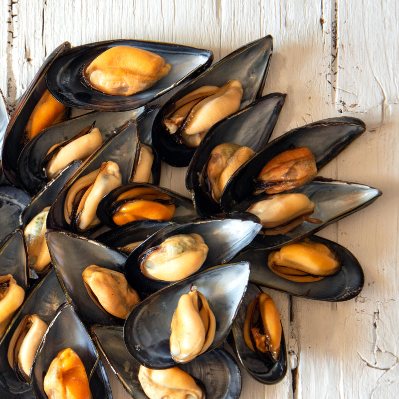 Fresh mussels being scrubbed and cleaned under cold running water