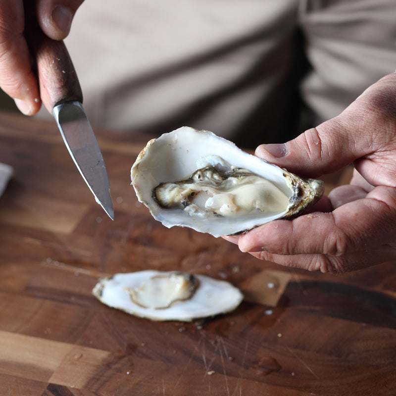 Fresh Hood Canal oysters on the half shell served on crushed ice with lemon