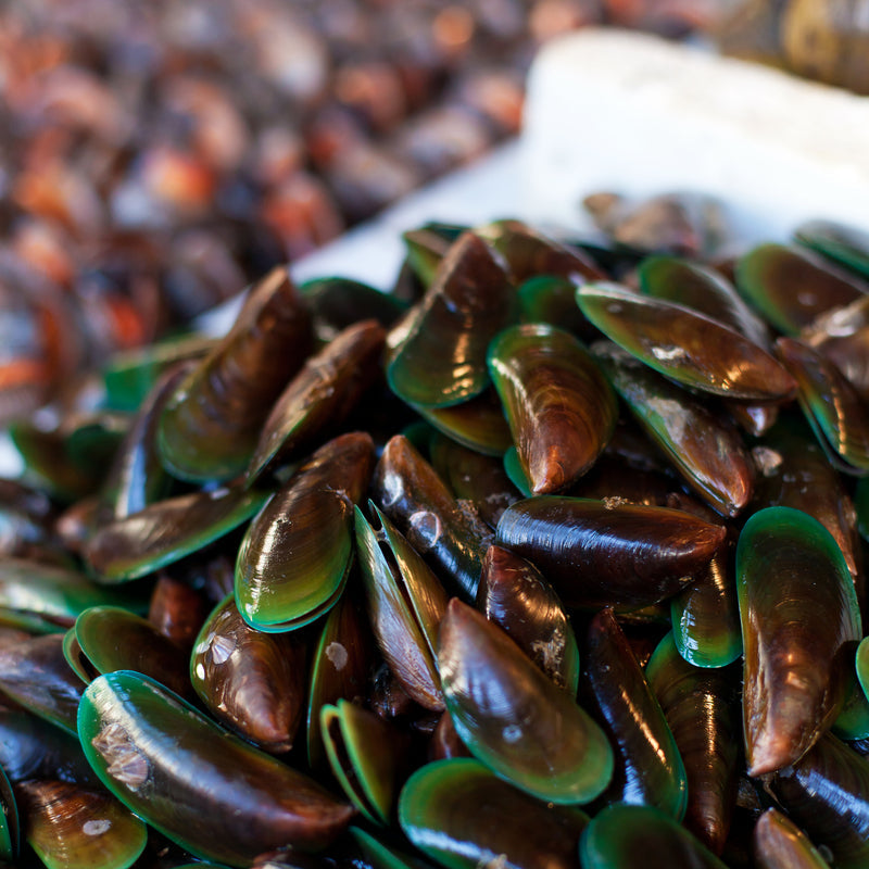 Fresh mussels on a plate ready to serve