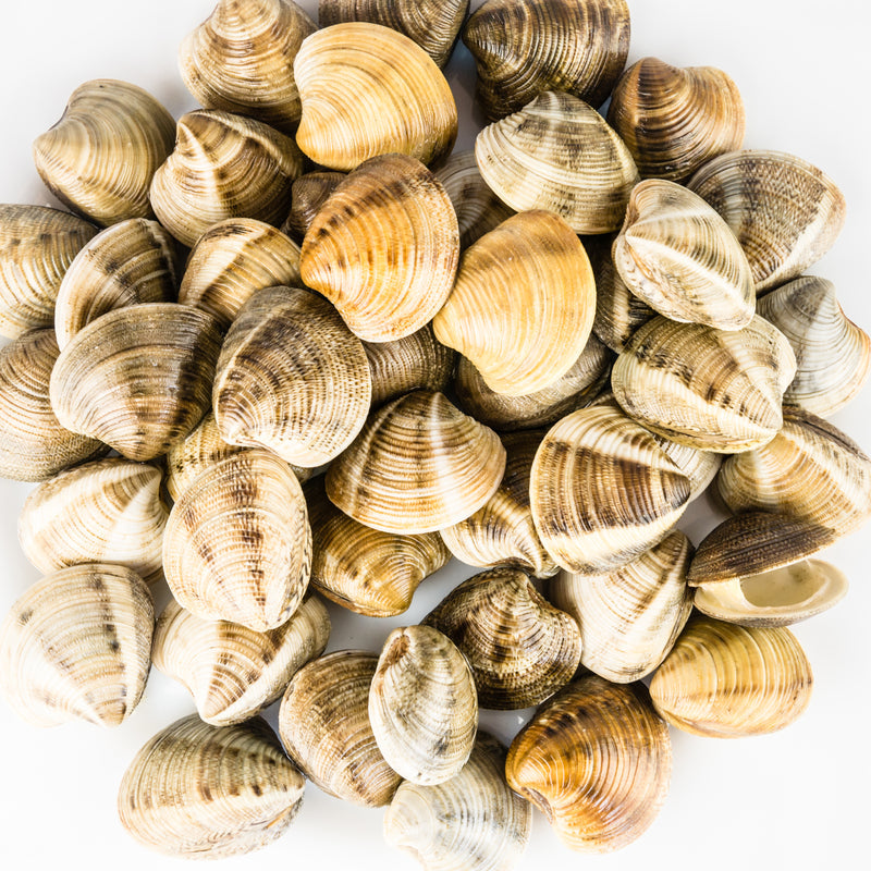 Cherry Stone Clams