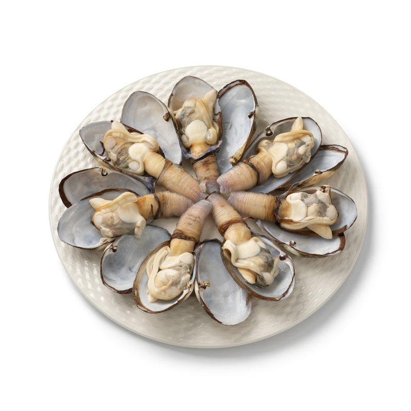 Fresh Little Neck clams on ice — the smallest size grade of Atlantic hard-shell clams (Mercenaria mercenaria); named after Little Neck Bay on Long Island, NY; sweet, briny, and tender; best eaten raw on the half shell or steamed with garlic and white wine