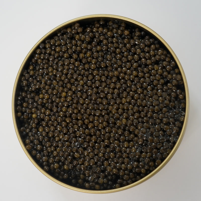 A Taste of Ocean Luxury: the Delectable Delicacy of Paddlefish Caviar
