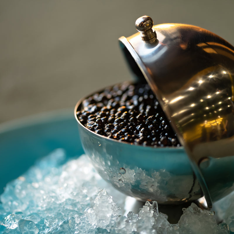 Paddlefish caviar served on toasted blini with crème fraîche and fresh dill on an elegant dark plate