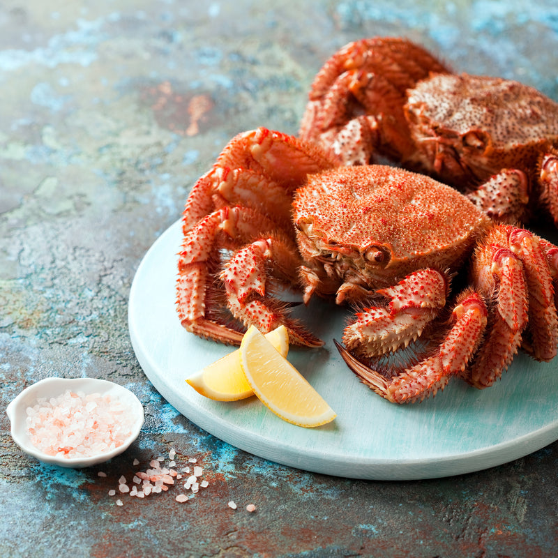 Sustainable red crabbing practices protecting marine ecosystems