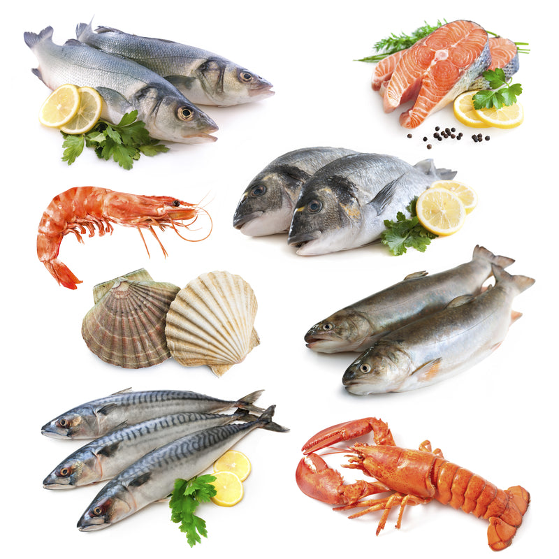 Seafood Market: From Ocean to Plate