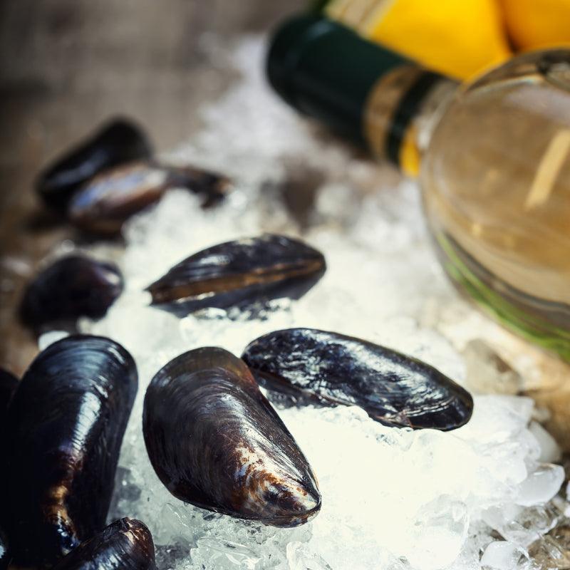 Fresh mussels in their shells served in a white bowl with broth, garlic, and parsley
