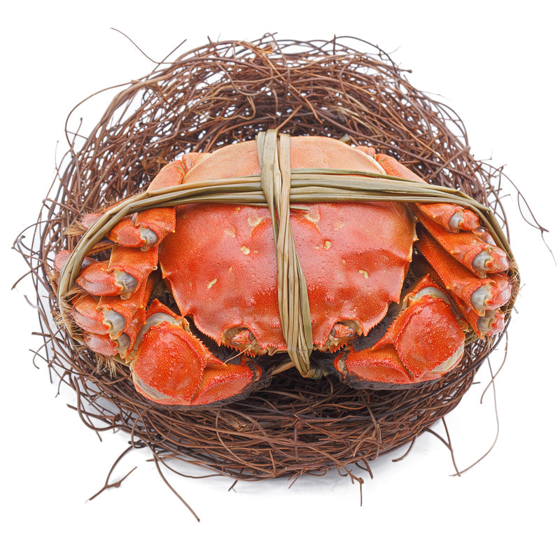 Family red crabbing trip with kids on a dock