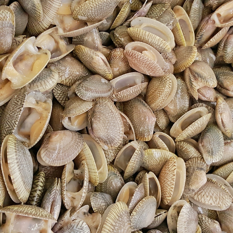 Fresh oysters and clams on ice side by side — oysters with their irregular, rough shells and clams with their smooth, symmetrical shells — showing the visual difference between the two bivalve mollusks