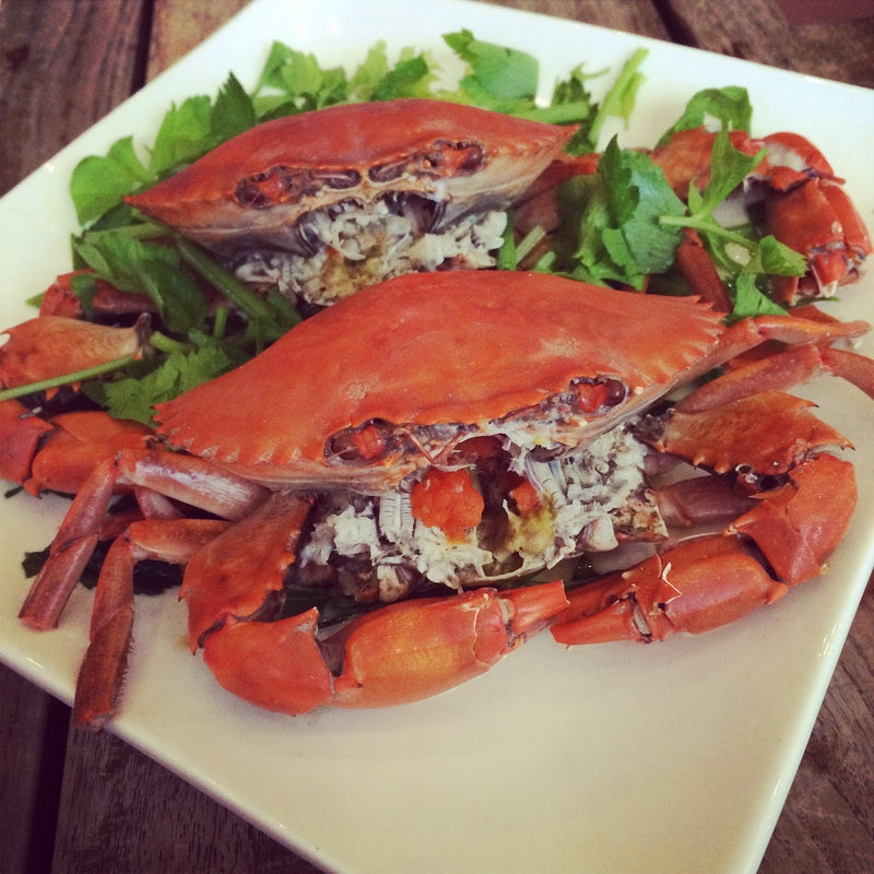Health benefits of eating red crabs — Dungeness, King, and Snow crab