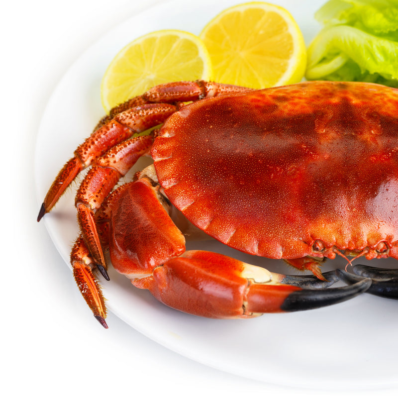 Red king crab being harvested on a commercial crabbing vessel
