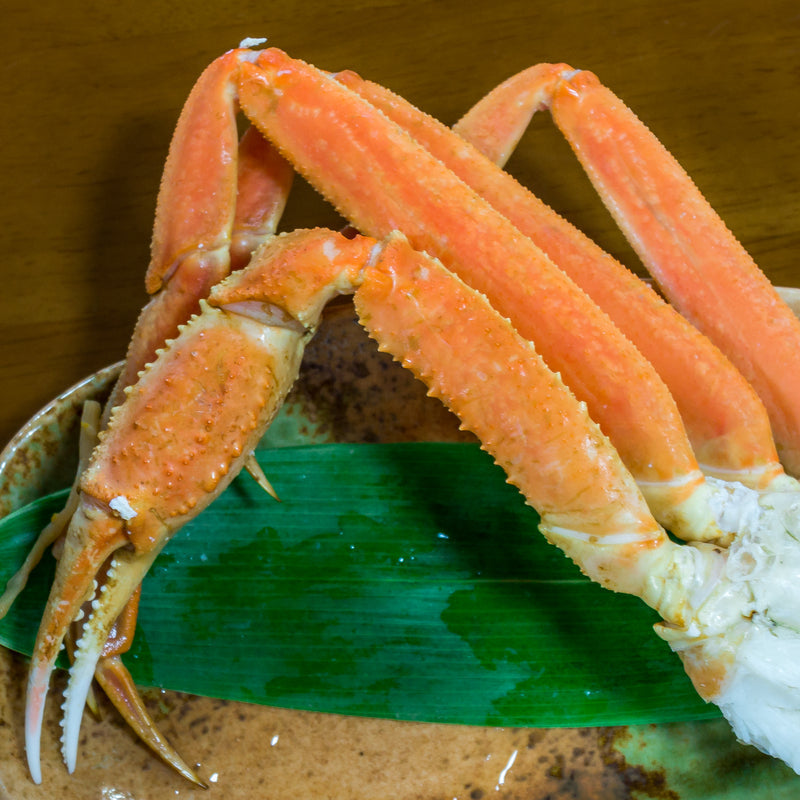 Person crabbing for Dungeness and king crabs in the Pacific Northwest