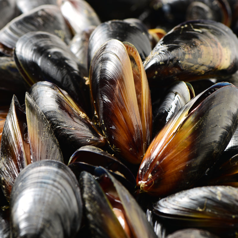 Bowl of steamed mussels rich in omega-3s and protein – nutritional powerhouse seafood