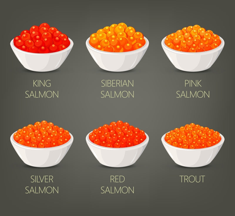 Smooth glossy new season red salmon caviar pearls in a jar with a wooden spoon on a dark background