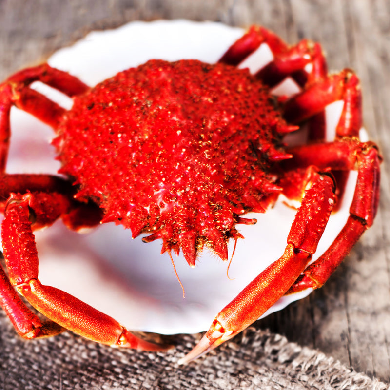 Red king crab fishery vessel in Alaskan waters representing the future of sustainable crabbing