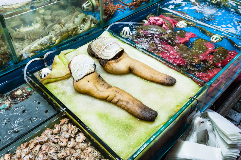 Geoduck Clam: How to Buy, Cook, and Enjoy This Pacific Northwest Delicacy