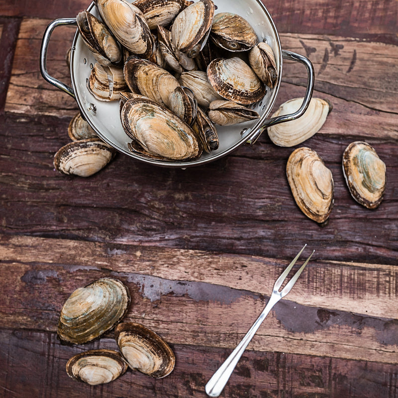 Live Manila clams in a bowl ready for cooking, with garlic, white wine, parsley, and lemon on a kitchen counter
