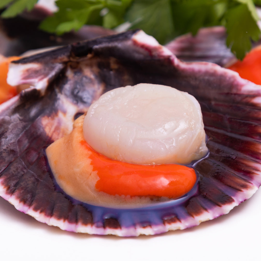 Fresh diver scallops being pan-seared in a cast-iron skillet with butter and herbs, golden crust forming