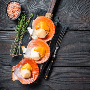 The Best Places to Buy Fresh Diver Scallops Online