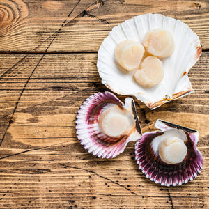 The Most Delicious Diver Scallop Sandwiches for a Quick Lunch