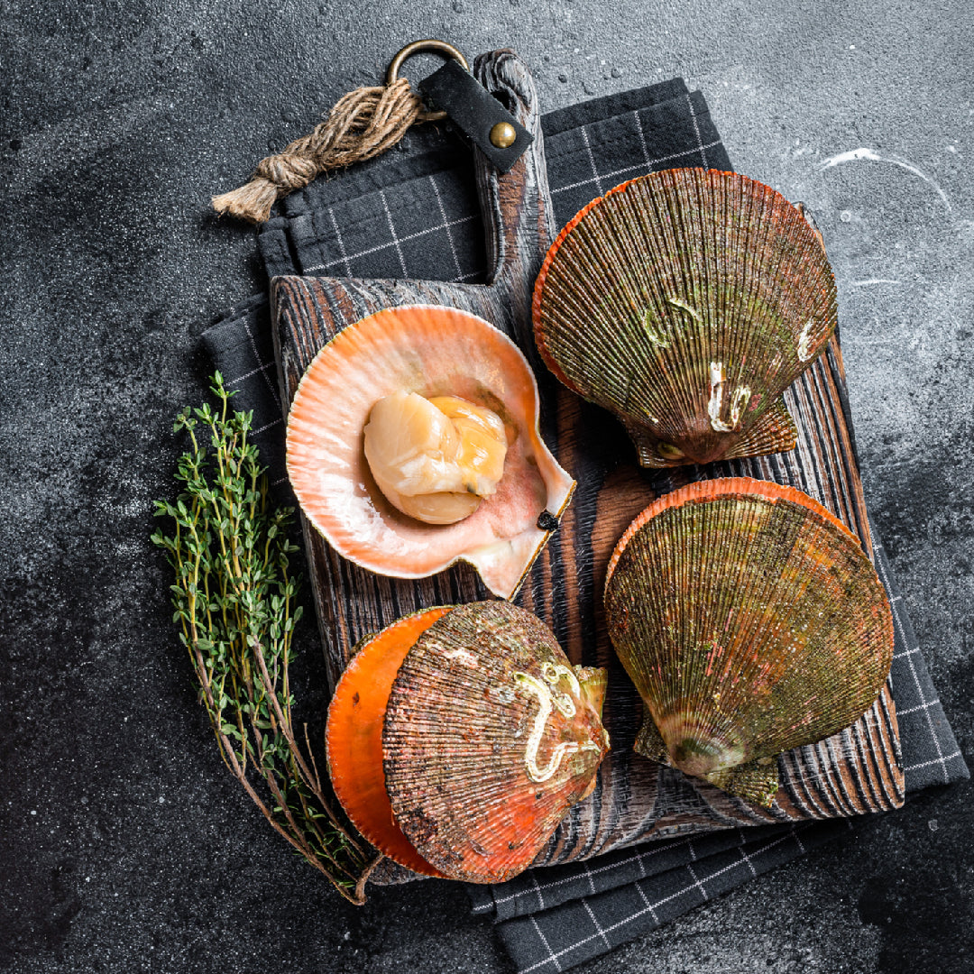 Seared diver scallops and lobster tail plated as a luxury seafood dish