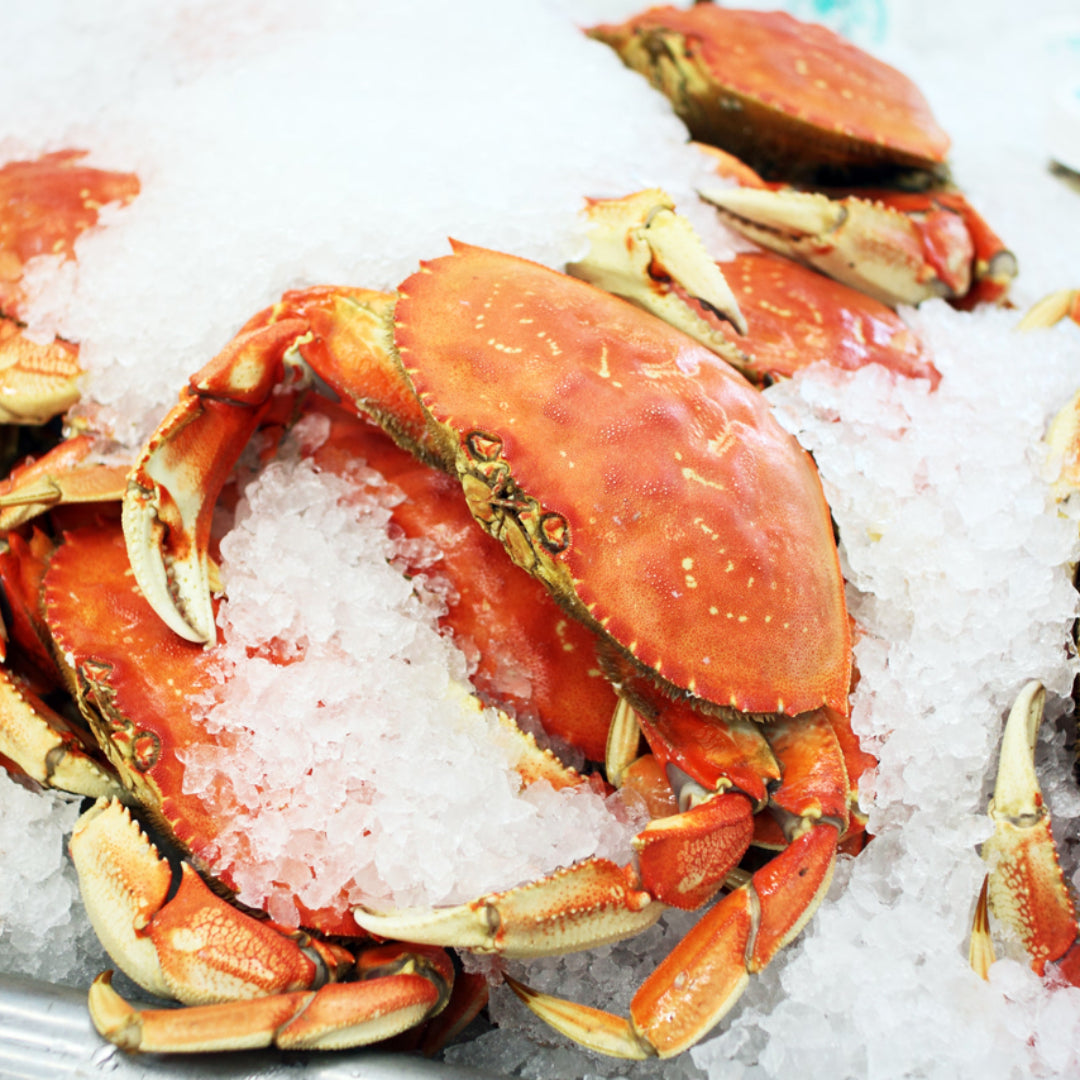 Cooked Dungeness crab clusters on a bed of ice with lemon wedges and melted butter dipping sauce