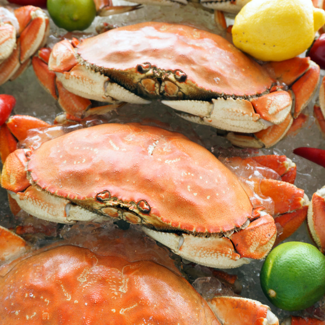 Fresh Dungeness crab at a Seattle seafood market, displayed on ice with bright orange shells and large claws