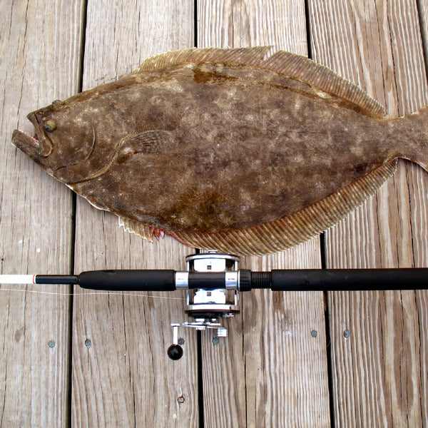 How to Clean and Cook Flounder A StepbyStep Guide