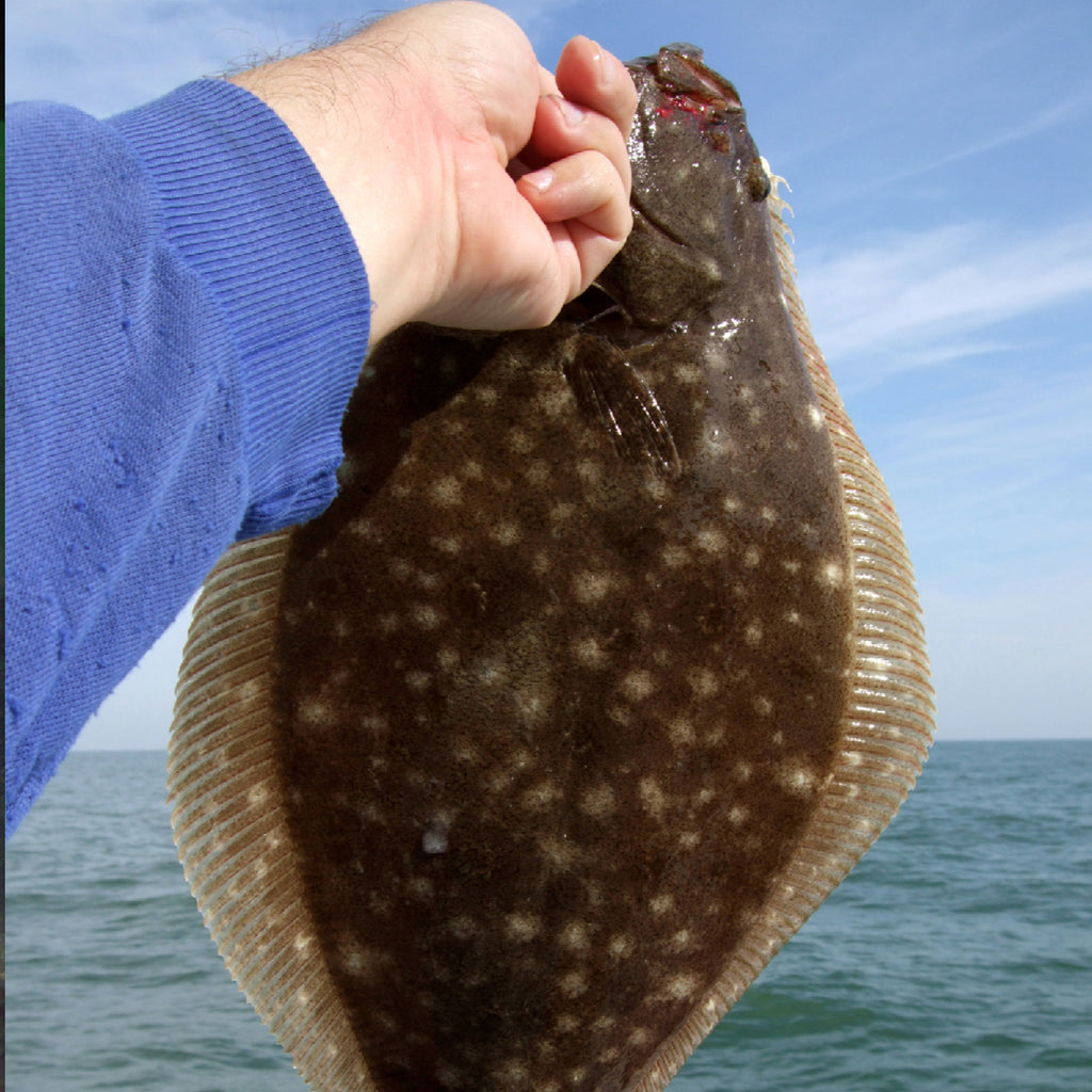 Best Bait for Flounder and How to Use It