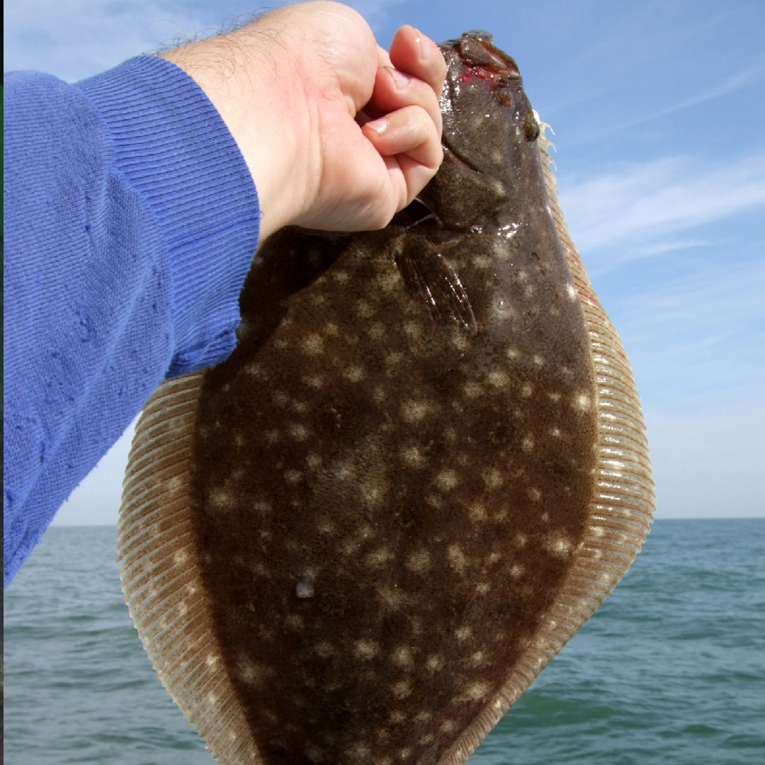 Angler drift fishing for flounder from a boat over sandy coastal waters, with rod and reel ready for a catch