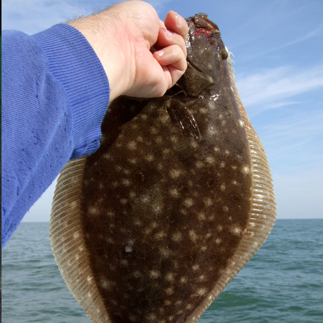 Yellowtail Flounder Fishing Guide  How to Catch a Yellowtail Flounder