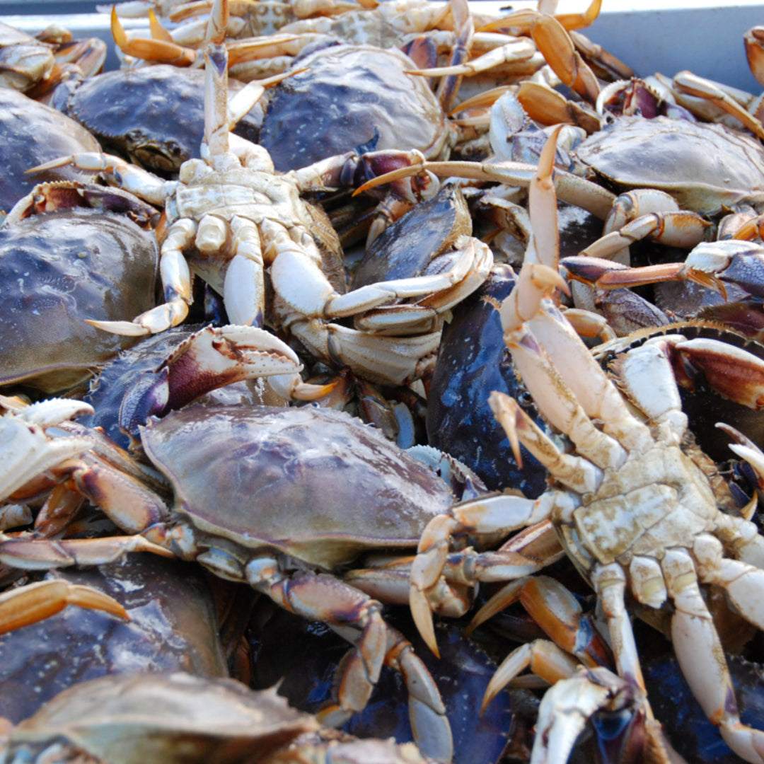 Step-by-step demonstration of cleaning a live crab, showing the removal of the shell and internal parts