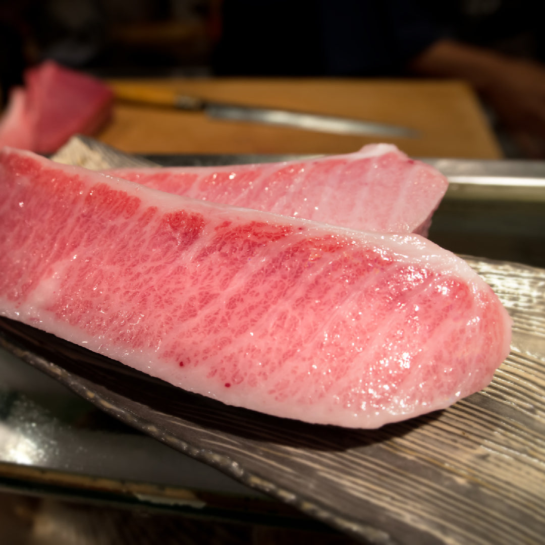 Bluefin tuna caught offshore — seasonal fishing guide for spring, summer, fall, and winter