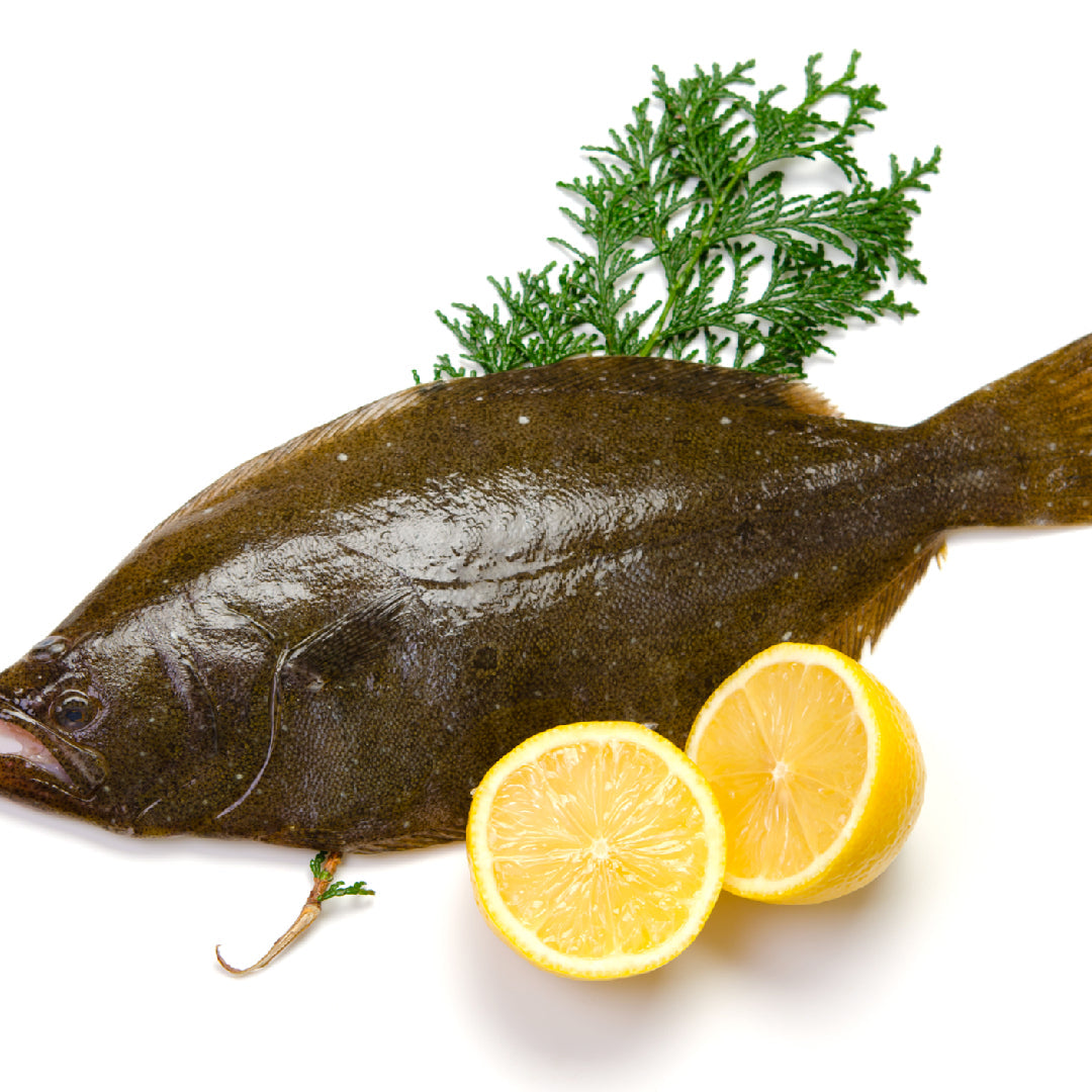 The Pros and Cons of Canned Pacific Halibut: Is it Worth Buying? - Global Seafoods North America