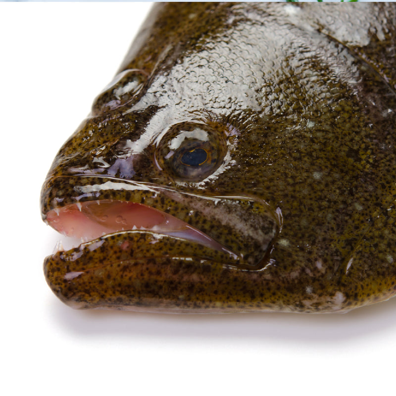 Pacific Halibut vs. Pacific Cod Which is Healthier?