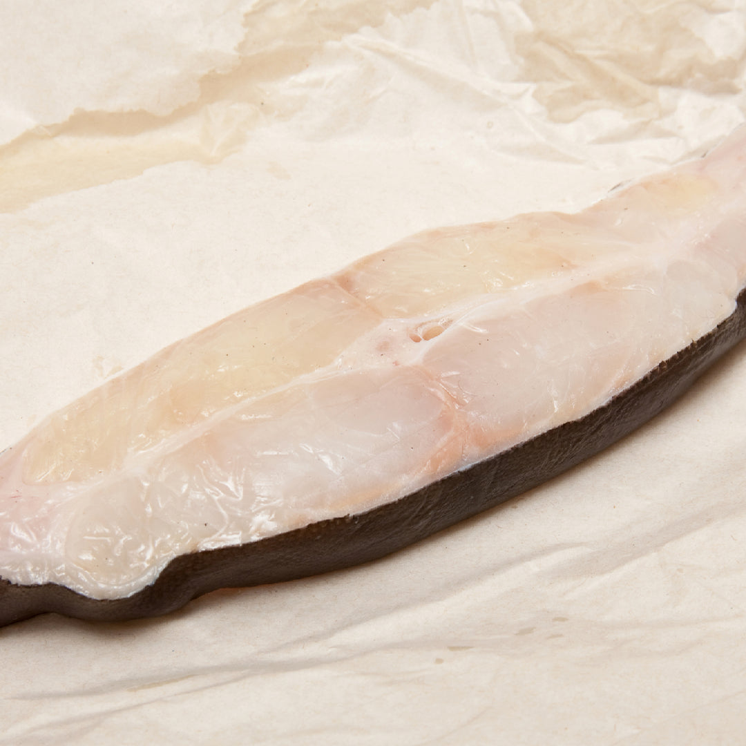 Halibut fillet vs salmon fillet — taste and nutrition comparison