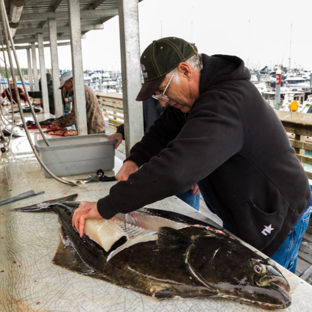 Fresh halibut fillet on ice at a seafood market with price tag visible