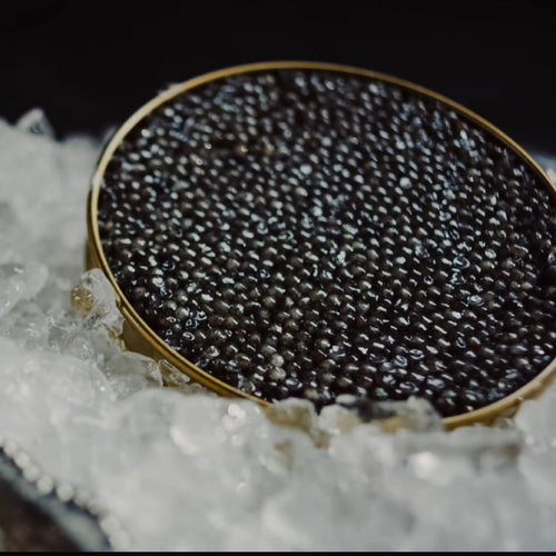Premium Iranian caviar from the Caspian Sea served in a tin on crushed ice with blinis