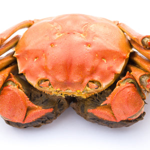 Jonah crab - The Perfect Seafood Delight