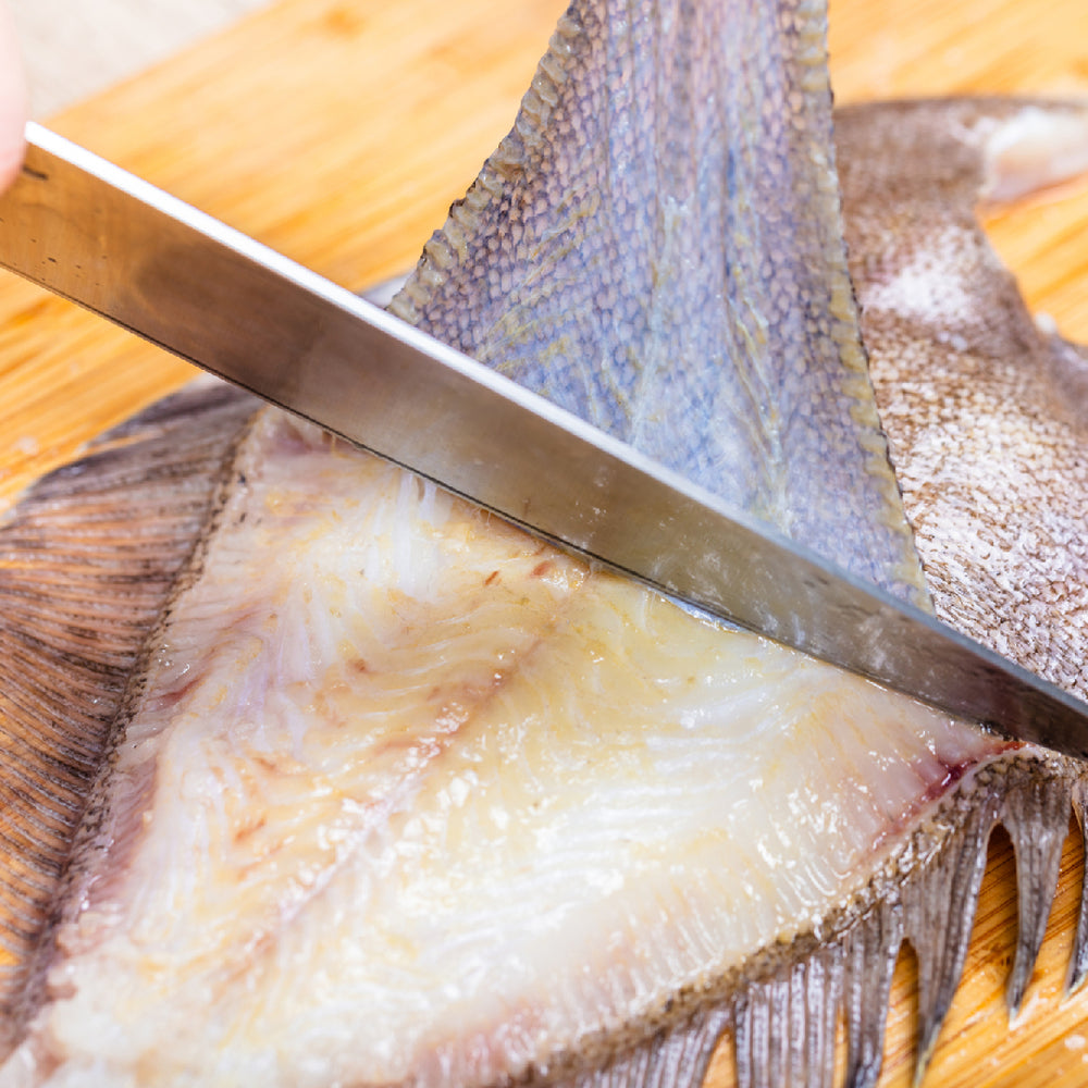 How to Choose the Best Flounder Fishing Line A Comprehensive Guide