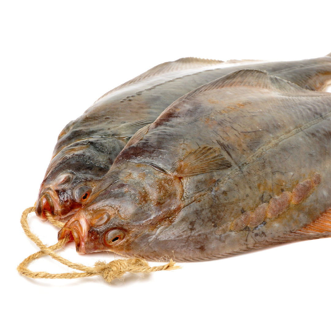 Angler rigging live shrimp on a circle hook for flounder fishing from a pier, with a bait bucket and tackle box visible nearby