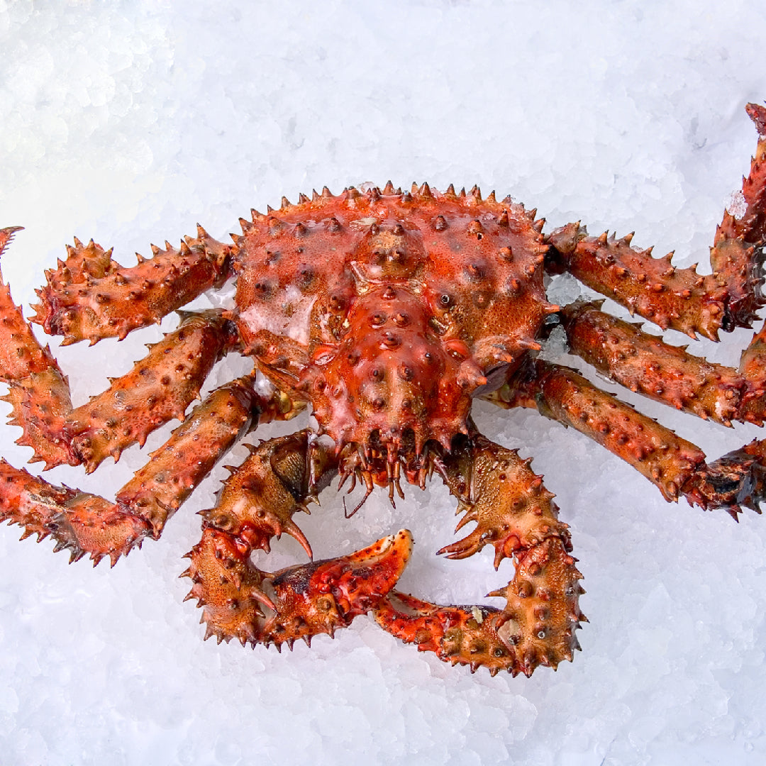 Fresh king crab legs stored in an airtight container on ice in a refrigerator to maintain freshness
