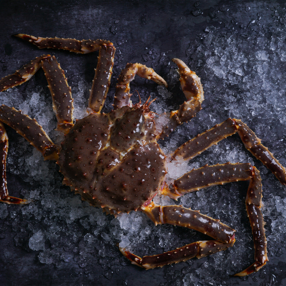 King Crab Price vs. Snow Crab Price Which is More Worth it?