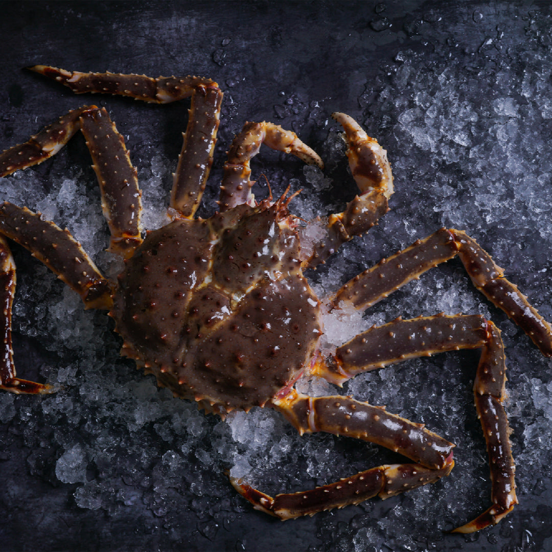 King crab legs and snow crab legs side by side on ice, showing the size difference between the two varieties for a price and value comparison