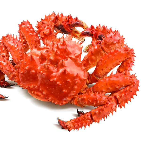 Is King Crab Price Too High? Learn How to Cook King Crab Like a Pro