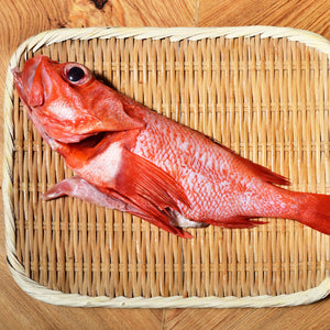The Kinki Rockfish: A Delicious and Nutritious Seafood Choice