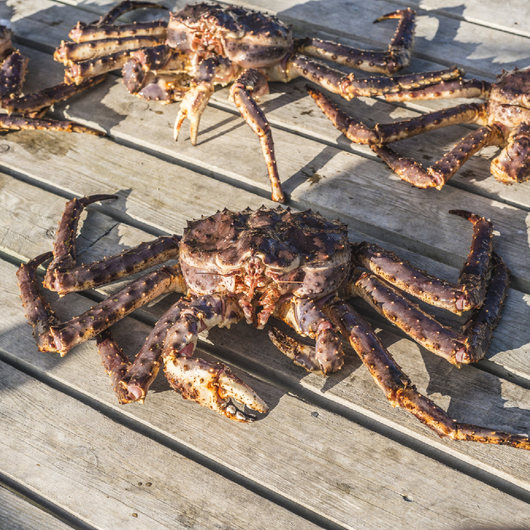 Step-by-step preparation of live king crab being cleaned and cracked open for cooking at home