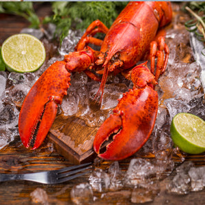 Lobster Festivals: A Guide to the Best Ones in the US