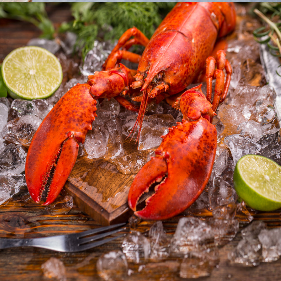 Crowds enjoying fresh lobster dishes and live music at a summer lobster festival on the coast