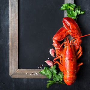 The Economics of the Lobster Industry: A Deep Dive